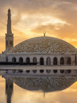 WhatsApp Image 2026-03-29 at 8.51.47 PM (1)